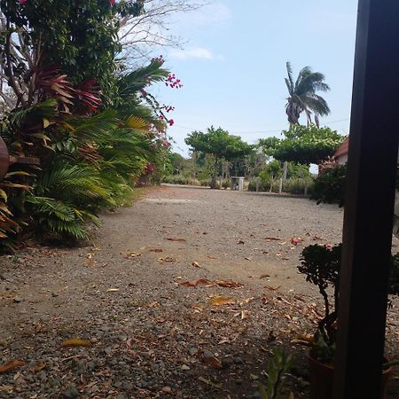 Cabanas Martina Surf Playa Guanico Pedregal Buitenkant foto